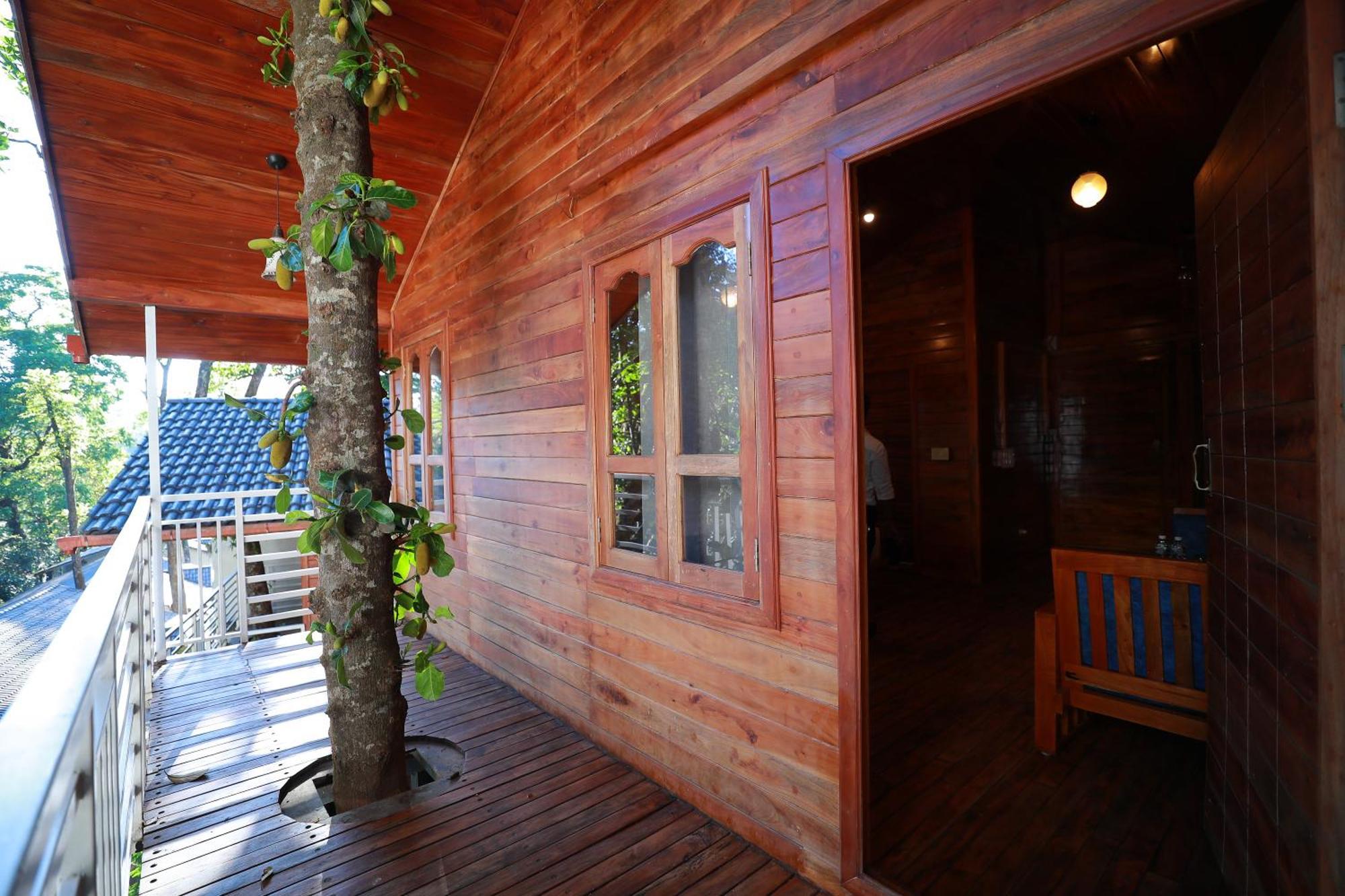 Coorg Coffee Bean Resort マディケーリ エクステリア 写真