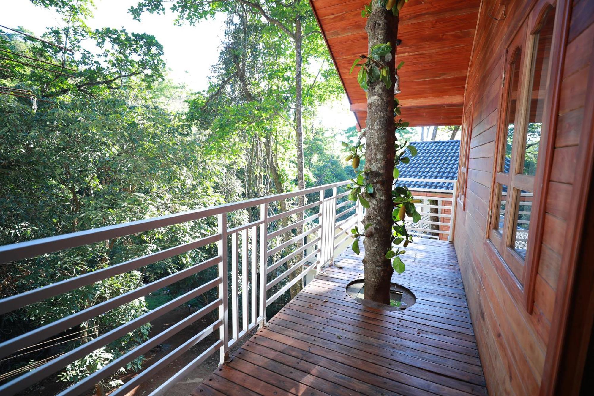 Coorg Coffee Bean Resort マディケーリ エクステリア 写真